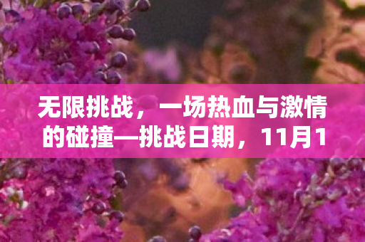 无限挑战，一场热血与激情的碰撞—挑战日期，11月10日