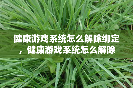 健康游戏系统怎么解除绑定，健康游戏系统怎么解除