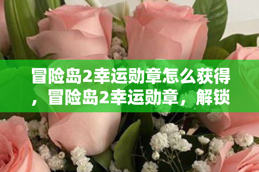 冒险岛2幸运勋章怎么获得，冒险岛2幸运勋章，解锁你的冒险之旅