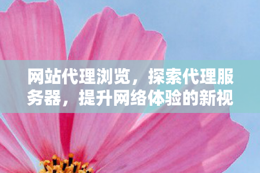 网站代理浏览，探索代理服务器，提升网络体验的新视角