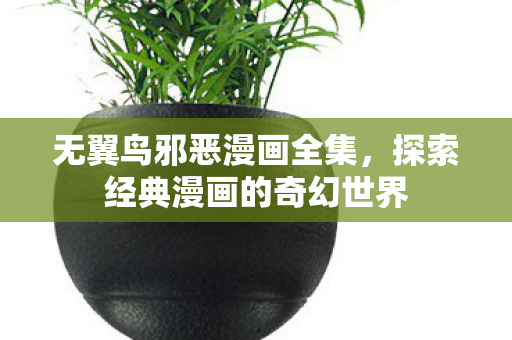 无翼鸟邪恶漫画全集，探索经典漫画的奇幻世界