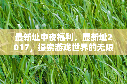 最新址中夜福利，最新址2017，探索游戏世界的无限可能