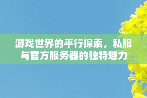 游戏世界的平行探索，私服与官方服务器的独特魅力