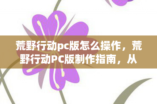 荒野行动pc版怎么操作，荒野行动PC版制作指南，从零开始的优化与提升