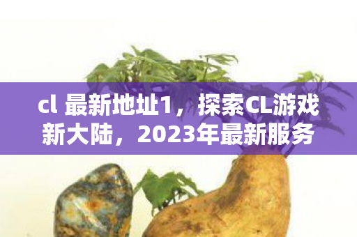 cl 最新地址1，探索CL游戏新大陆，2023年最新服务器地址揭秘