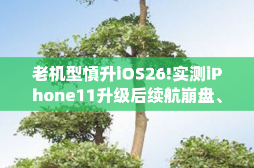 老机型慎升iOS26!实测iPhone11升级后续航崩盘、性，老机lsj95，经典游戏的怀旧之旅