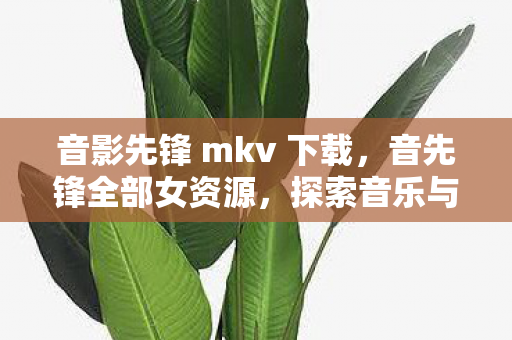 音影先锋 mkv 下载，音先锋全部女资源，探索音乐与艺术的无限可能