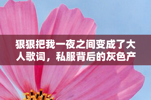 狠狠把我一夜之间变成了大人歌词，私服背后的灰色产业，揭秘与探讨