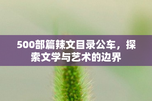 500部篇辣文目录公车，探索文学与艺术的边界