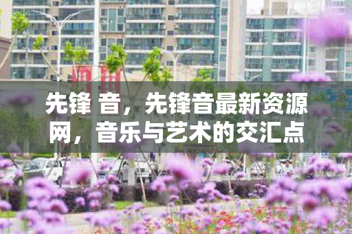 先锋 音，先锋音最新资源网，音乐与艺术的交汇点