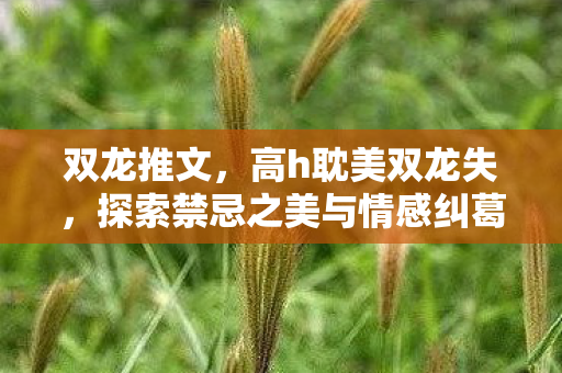 双龙推文，高h耽美双龙失，探索禁忌之美与情感纠葛的边界