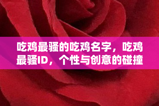 吃鸡最骚的吃鸡名字，吃鸡最骚ID，个性与创意的碰撞