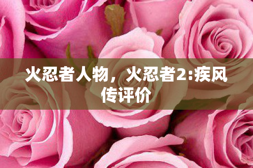 火忍者人物，火忍者2:疾风传评价