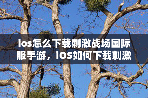 ios怎么下载刺激战场国际服手游，iOS如何下载刺激战场国际服
