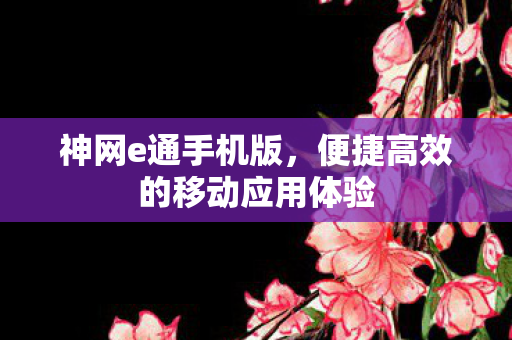 神网e通手机版，便捷高效的移动应用体验
