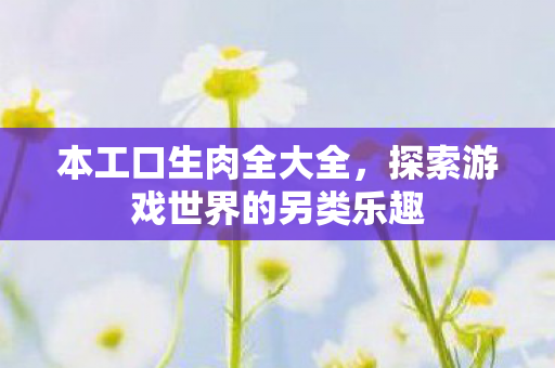 本工口生肉全大全，探索游戏世界的另类乐趣