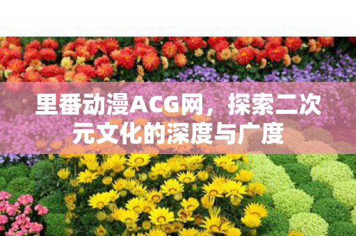 里番动漫ACG网，探索二次元文化的深度与广度