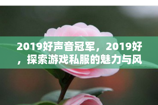 2019好声音冠军，2019好，探索游戏私服的魅力与风险