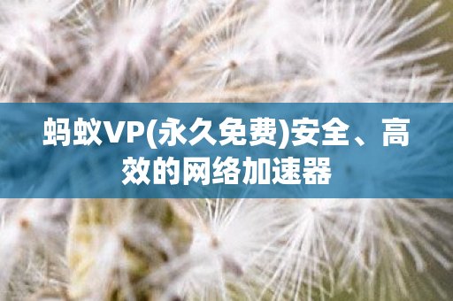 蚂蚁VP(永久免费)安全、高效的网络加速器
