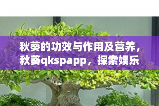 秋葵的功效与作用及营养，秋葵qkspapp，探索娱乐新境界的便捷平台