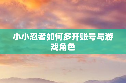 小小忍者如何多开账号与游戏角色 小小忍者如何多开账号与游戏角色