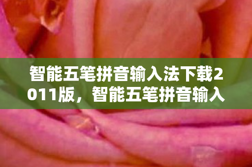 智能五笔拼音输入法下载2011版，智能五笔拼音输入法下载2011，高效便捷，打造个性化输入体验