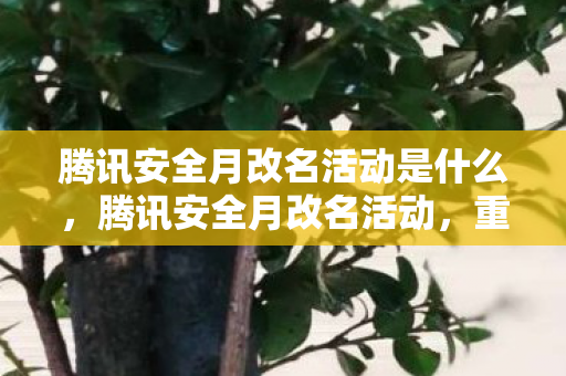腾讯安全月改名活动是什么，腾讯安全月改名活动，重塑数字身份，共筑安全防线