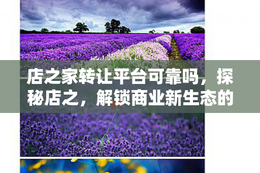 店之家转让平台可靠吗，探秘店之，解锁商业新生态的奥秘