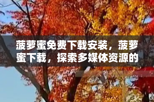 菠萝蜜免费下载安装，菠萝蜜下载，探索多媒体资源的便捷获取之道