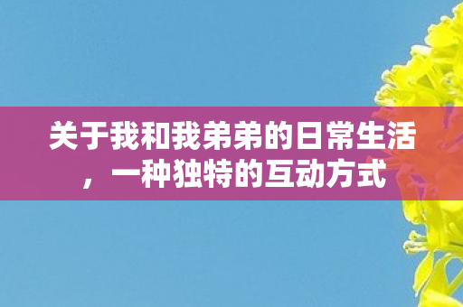 关于我和我弟弟的日常生活，一种独特的互动方式