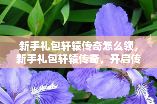 新手礼包轩辕传奇怎么领，新手礼包轩辕传奇，开启传奇之旅的钥匙