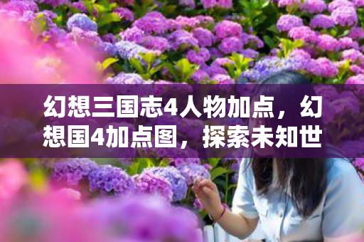 幻想三国志4人物加点，幻想国4加点图，探索未知世界的奇幻之旅