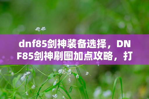dnf85剑神装备选择，DNF85剑神刷图加点攻略，打造高效战斗体验