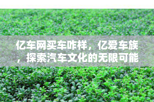 亿车网买车咋样，亿爱车族，探索汽车文化的无限可能