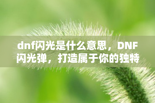 dnf闪光是什么意思，DNF闪光弹，打造属于你的独特游戏体验