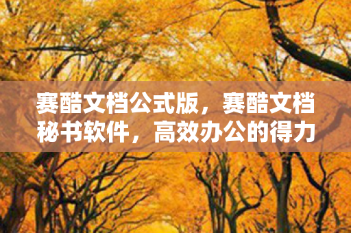 赛酷文档公式版，赛酷文档秘书软件，高效办公的得力助手