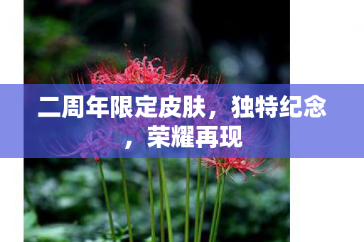 二周年限定皮肤,独特纪念,荣耀再现 二周年限定皮肤,独特纪念,荣耀再现