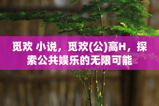 觅欢 小说，觅欢(公)高H，探索公共娱乐的无限可能