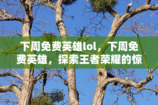 下周免费英雄lol，下周免费英雄，探索王者荣耀的惊喜与策略