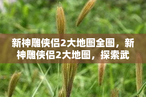 新神雕侠侣2大地图全图，新神雕侠侣2大地图，探索武侠世界的奇幻之旅