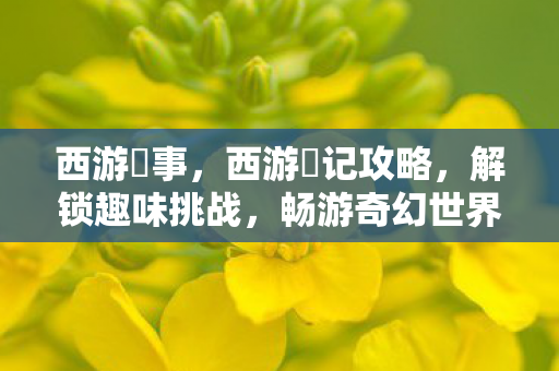 西游囧事，西游囧记攻略，解锁趣味挑战，畅游奇幻世界