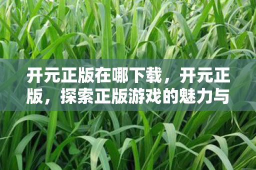 开元正版在哪下载，开元正版，探索正版游戏的魅力与未来