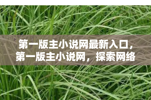 第一版主小说网最新入口，第一版主小说网，探索网络文学的奇妙之旅