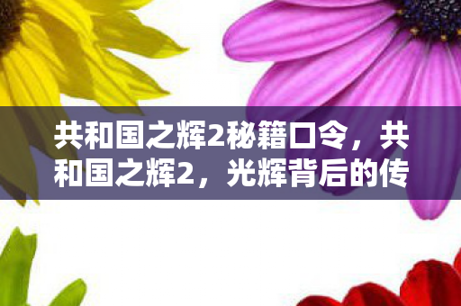 共和国之辉2秘籍口令，共和国之辉2，光辉背后的传奇故事