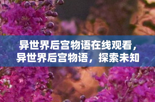 异世界后宫物语在线观看，异世界后宫物语，探索未知世界的浪漫之旅