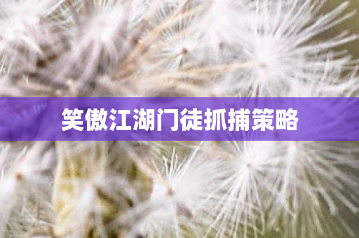 笑傲江湖门徒抓捕策略
