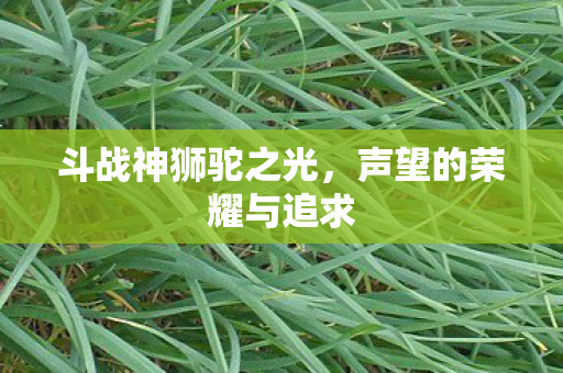 斗战神狮驼之光，声望的荣耀与追求