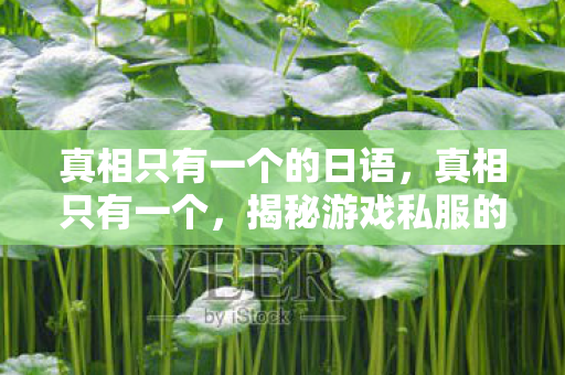 真相只有一个的日语，真相只有一个，揭秘游戏私服的灰色运营与玩家风险