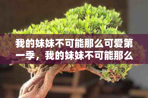 我的妹妹不可能那么可爱第一季，我的妹妹不可能那么可爱