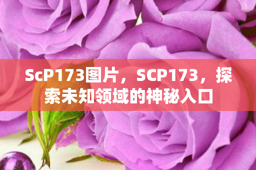 ScP173图片，SCP173，探索未知领域的神秘入口